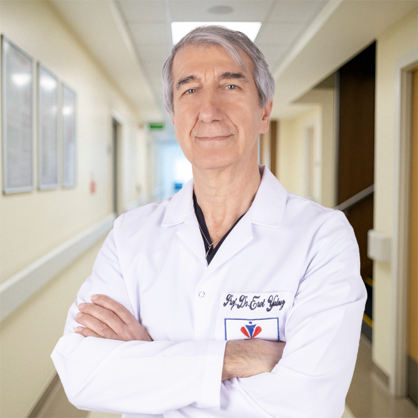Prof. Dr. Erol YALNIZ